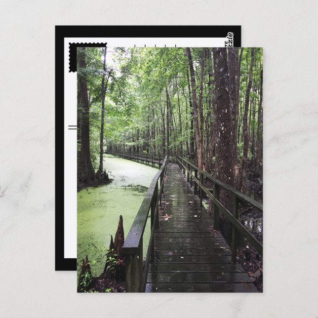 santee coastal reserve postcard (Front/Back)