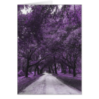 santee road