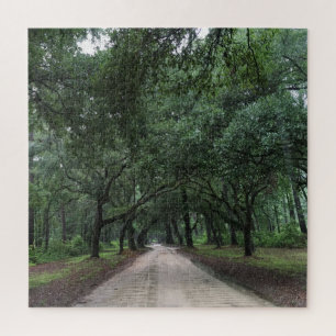santee road jigsaw puzzle