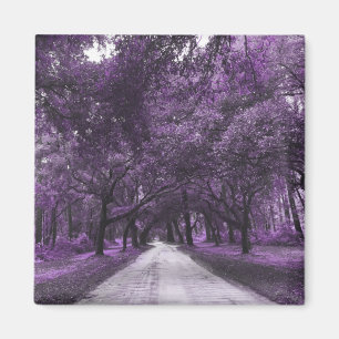 santee road magnet