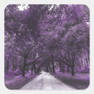 santee road square sticker