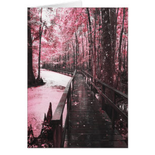 santee swamp dreamscape