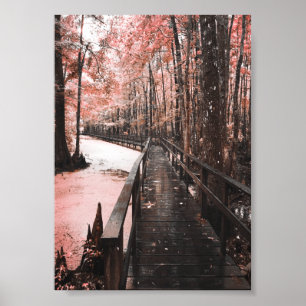 santee swamp dreamscape poster