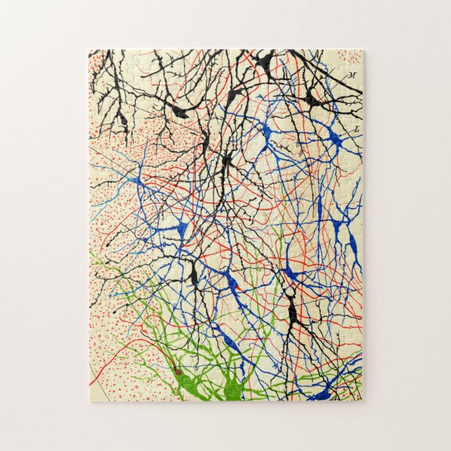 Santiago Ramón Y Cajal Nerve Cells Jigsaw Puzzle (Vertical)