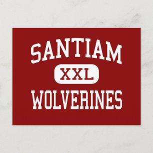 Santiam - Wolverines - High - Mill City Oregon Postcard