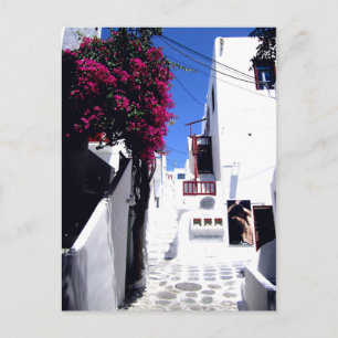 Santorini Street Postcard