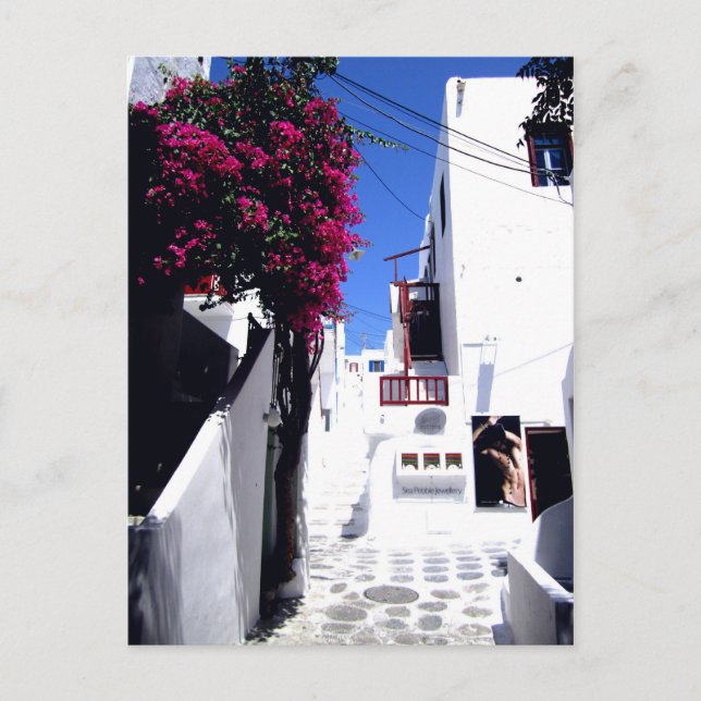 Santorini Street Postcard (Front)