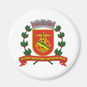 Santos Saopaulo Brasil, Brazil flag Magnet