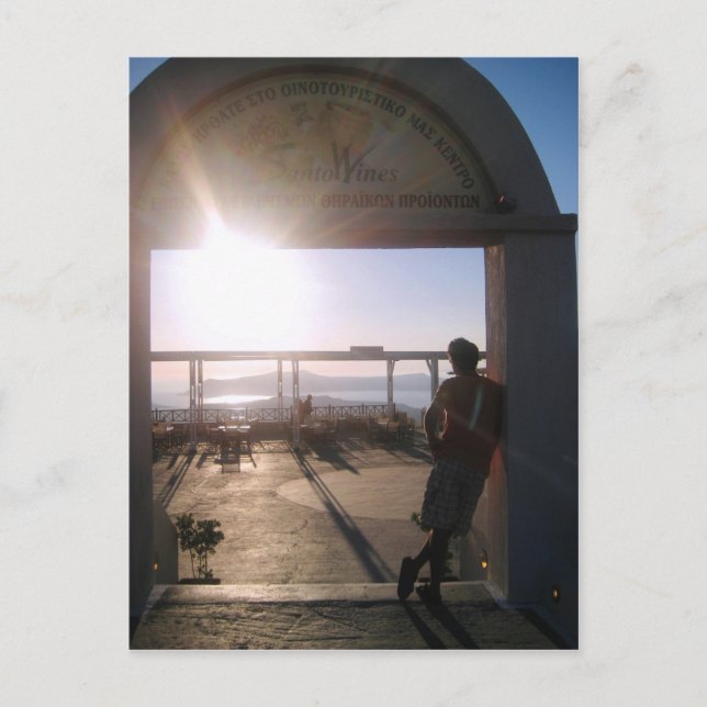 SantoWines Vineyards Postcard (Front)