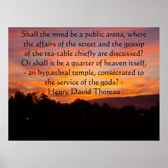SANY0099, Shall the mind be a public arena, whe... Poster (Front)
