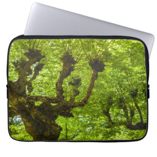 Sao Miguel Island Laptop Sleeve