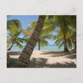Saona Island Dominican republic post card