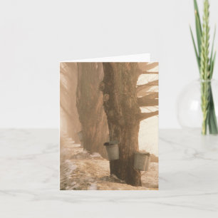 Sap Buckets Note Card