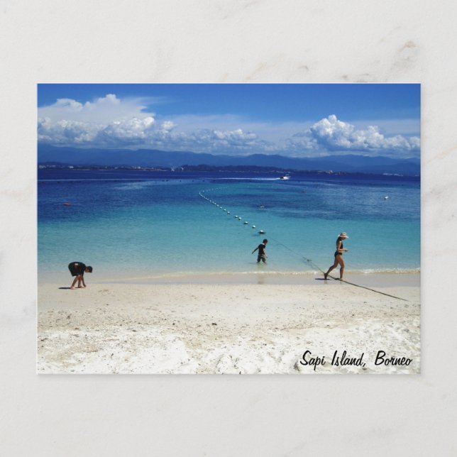 Sapi Island, Borneo Postcard (Front)