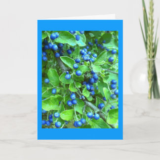 Sapphire Berries Holiday Card