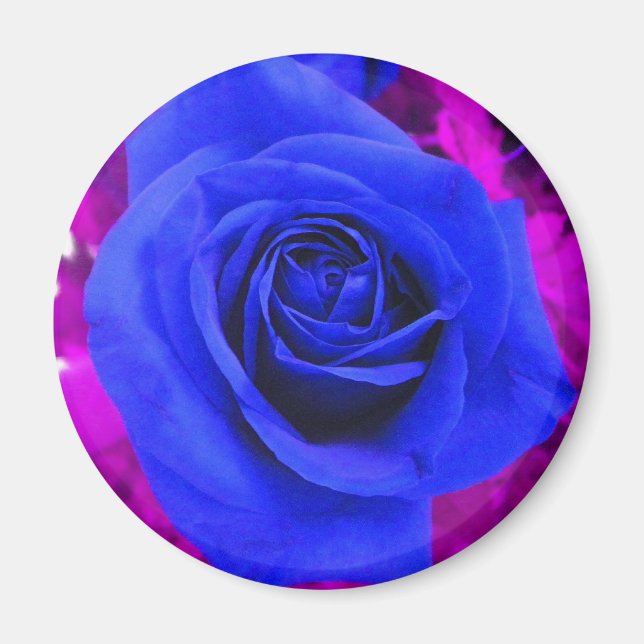 Sapphire Blue Rose magnet (Front)