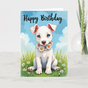 Sapphire Eyes Birthday Card