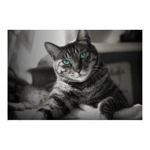 Sapphire Soul - Silent Look Fine Art Poster