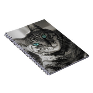 Sapphire Soul Silent Look Tabby Cat Portrait Spira Notebook