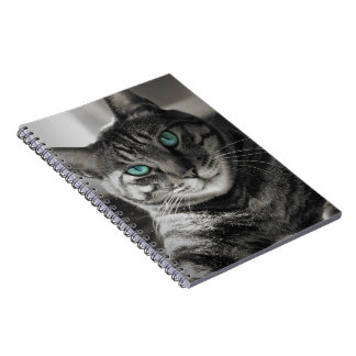 Sapphire Soul Silent Look Tabby Cat Portrait Spira Notebook