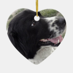 Sara Bulgarian Shepherd Dog Ceramic Tree Decoration