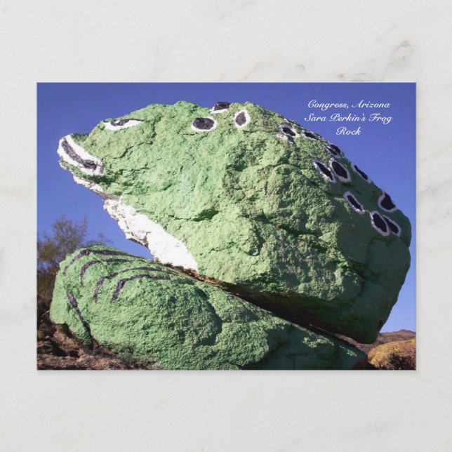 Sara Perkins Frog Rock Postcard (Front)