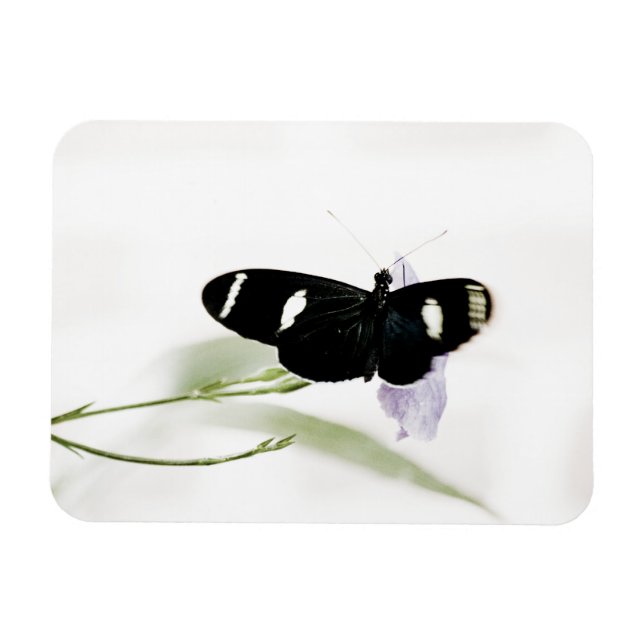 Sara Premium Magnet (Horizontal)