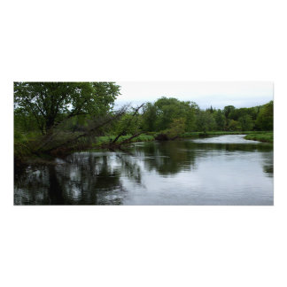 "Saranac River" Photo of Adirondack River & Trees