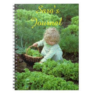 Sara's Journal
