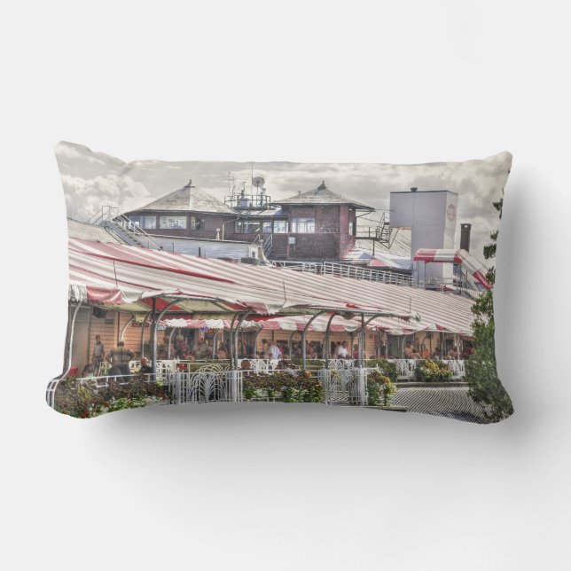 Saratoga 150 Throw Pillow (Front)