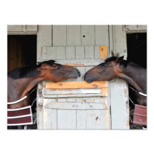 Saratoga Love Photo Print