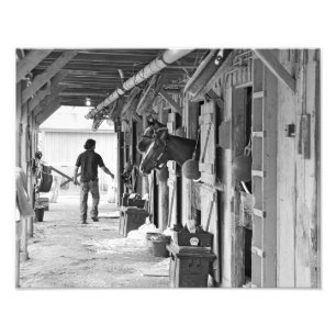 Saratoga Shedrow at Horse Haven Photo Print