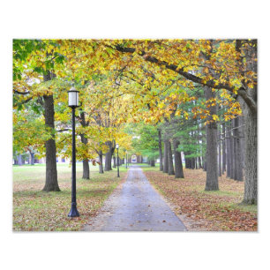 Saratoga Spa State Park Photo Print