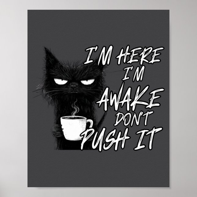 Sarcastic Cat Funny Cat I'm Here I'm Awake Don't P Poster (Front)