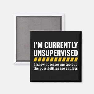 Sarcastic Dad Fathers Day Currently Unsupervised Magnet