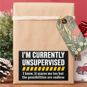 Sarcastic Dad Fathers Day Currently Unsupervised Rectangular Sticker