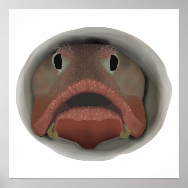 Sarcastic Fringehead - Fish Head Poster (Front)