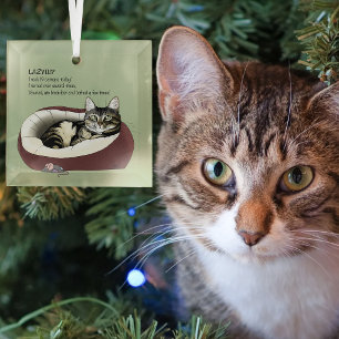 Sarcastic Lazy Tabby Cat Humour Sage Green Glass Tree Decoration