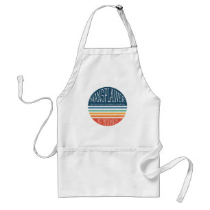 Sarcastic Mansplain To Women Standard Apron