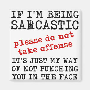 Sarcastic Offensive Funny Fridge Magnet Quotes