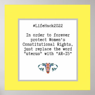 Sarcastic Quote Women's Constitutional Rights Poster