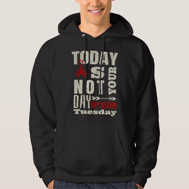 Sarcastic Scorpion Today is not your day Hoodie (Front)