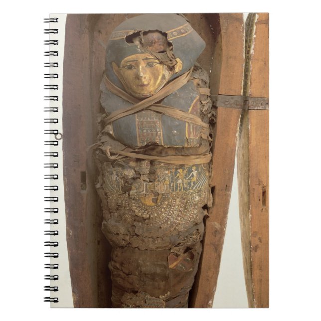Sarcophagus and mummified body of Psametik I (664- Notebook (Front)