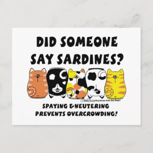 Sardine Cats Postcard
