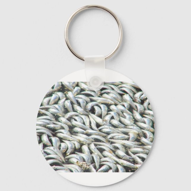 Sardines-King Harbour Redondo Beach_ Key Ring (Front)