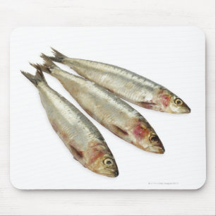 Sardines (Pilchards) Mouse Pad