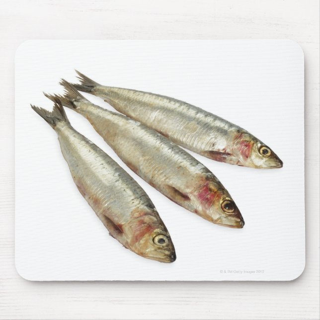 Sardines (Pilchards) Mouse Pad (Front)