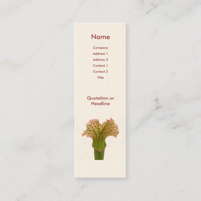 Sarracenia Pitcher Plant Mini Business Card (Front)