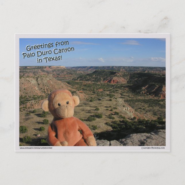 Saru #3 postcard (Front)