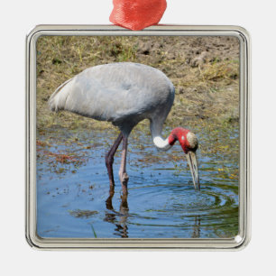 Sarus crane in pond metal ornament